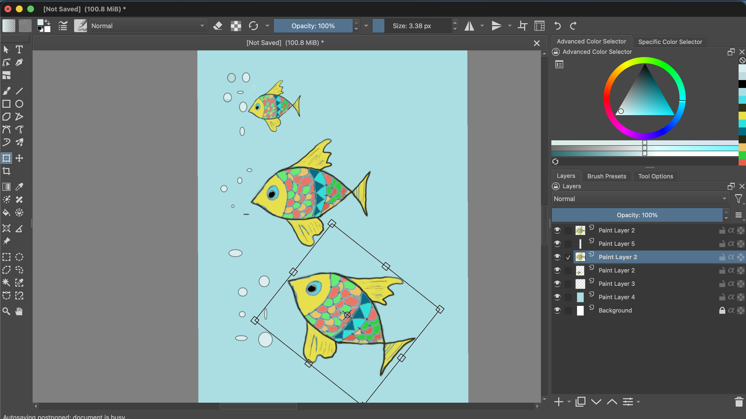 A fish illustration with several fish at different sizes on a light blue background. The largest lower fish is tilted inside a rotated Transform Tool box, with bubbles nearby.
