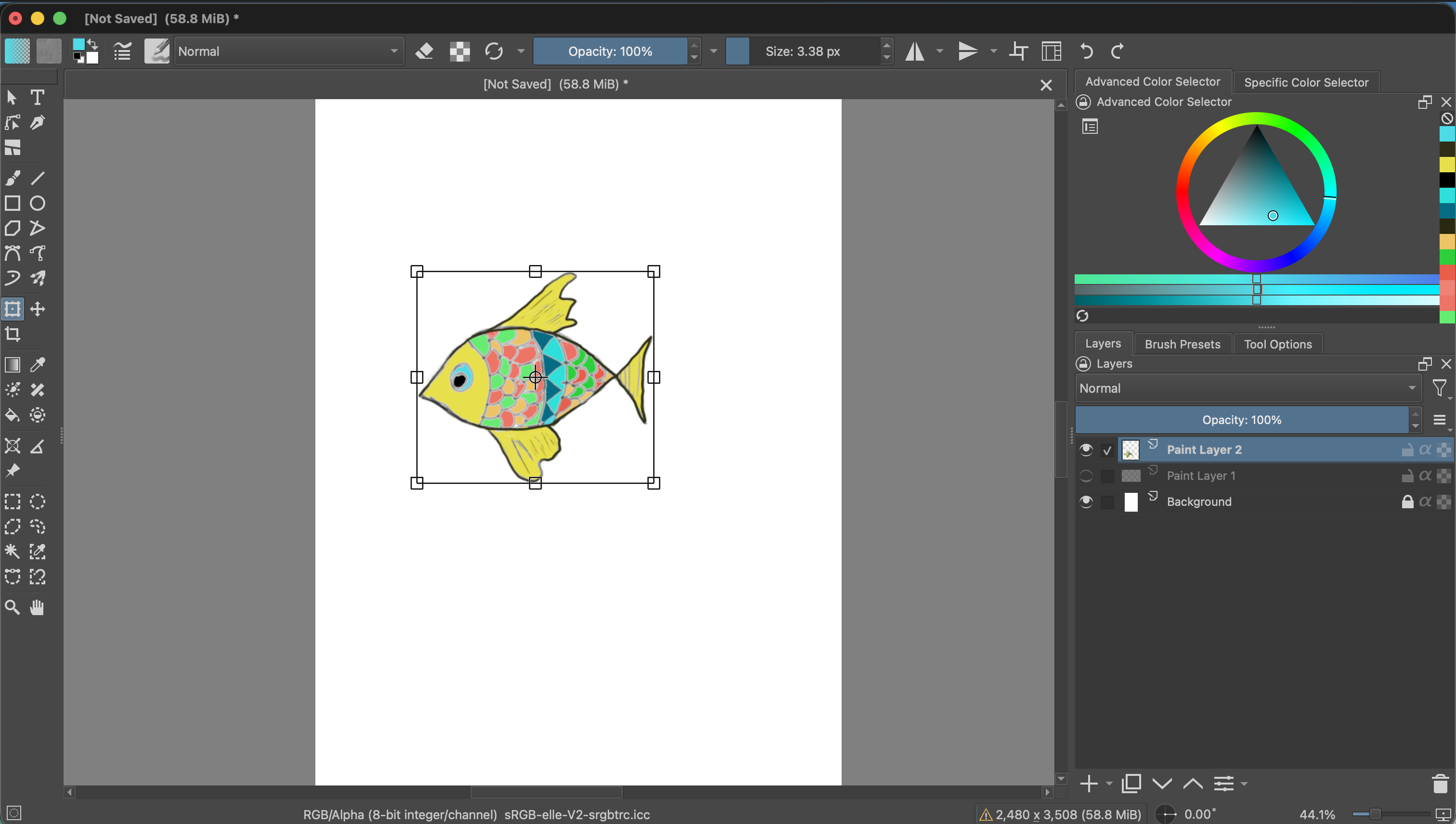 The colorful fish is surrounded by a rectangular Transform Tool box with handles at its corners and sides. A callout highlights the Transform Tool in the left toolbar.