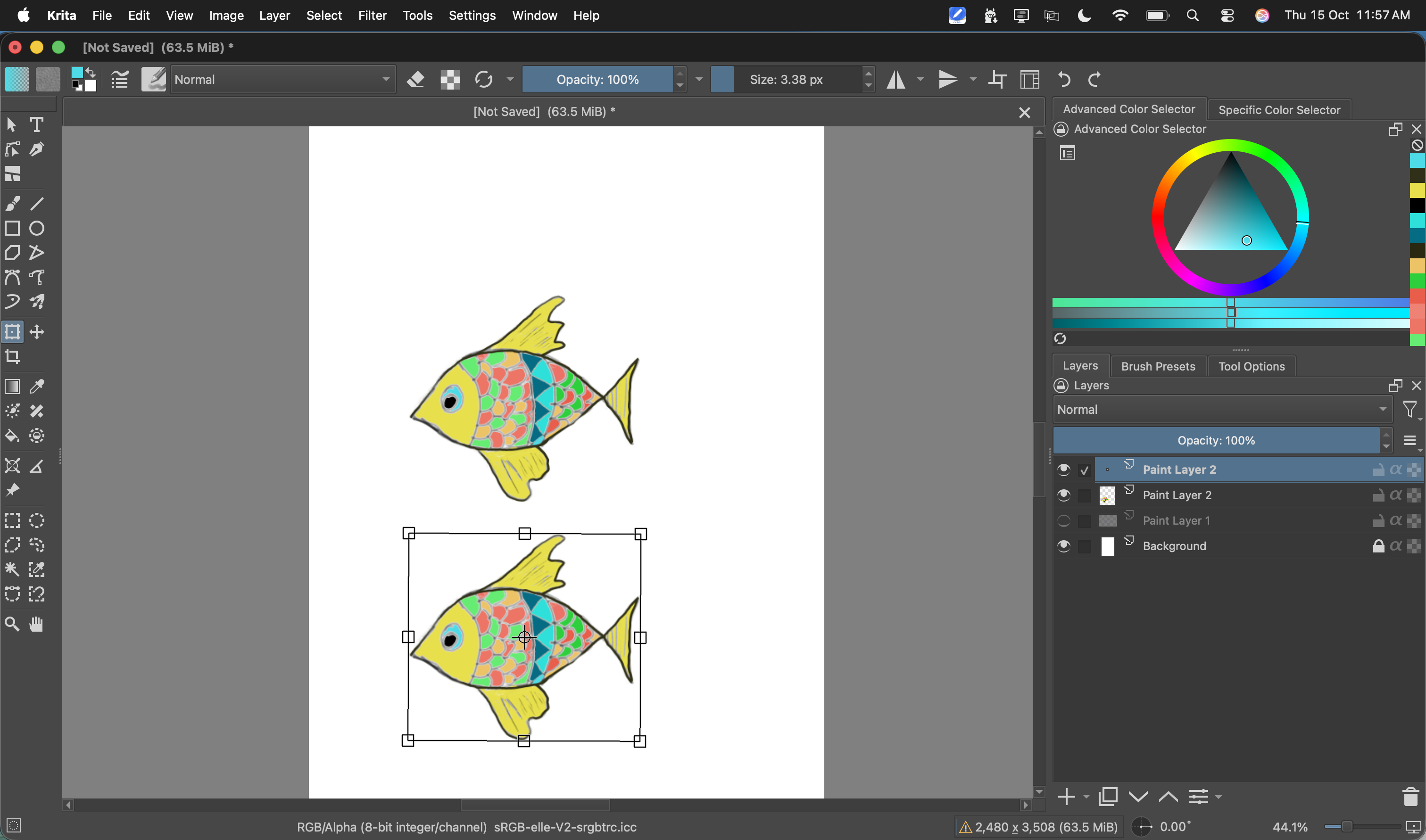 Two colorful fish appear on the canvas: one near the top and a second below it inside a Transform Tool box.